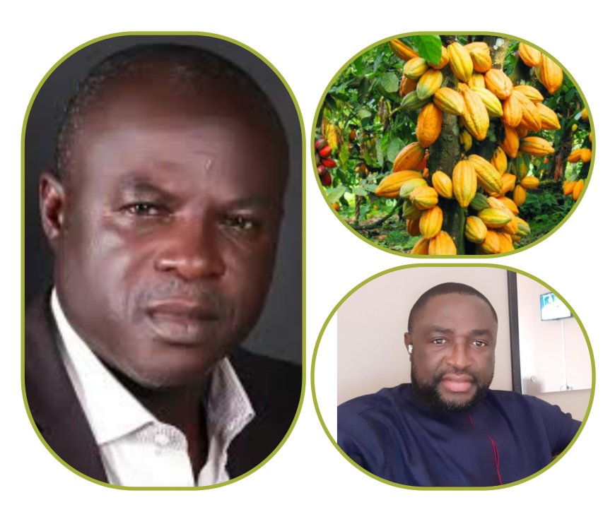 Oscar Ofuka Dares Gov Otu, Allots C'River Cocoa Estate To Illegal Applicants