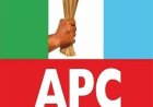 APC CONSTITUTION AND   CONDUCT OF PARTY PRIMARIES