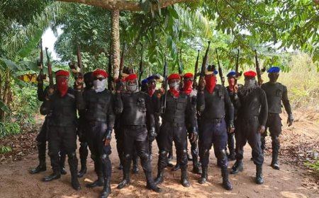 How To Diffuse The Compressor Cooker Situation In South -East Nigeria