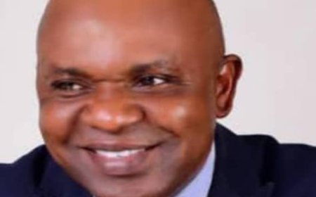 A Rebuttal to Dominic Kizuo's Erroneous Assertion: State Governors are the Pillars of Democracy, Not the Problem