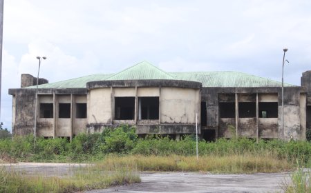 No NDDC Project In Cross River Shall Be Left Uncompleted – Duke