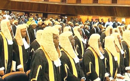 Senate Approves President's Request Seeking 300 Percent Payrise For Judges