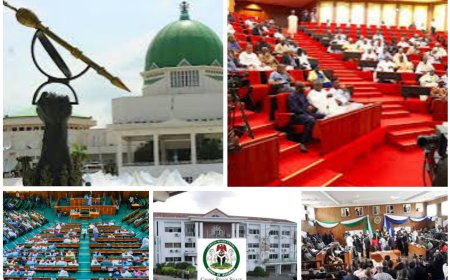 Kudos, Knocks Trail Lawmakers' One Year Anniversary