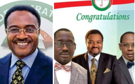 C'River: PDP State Chairman Lauds Jarigbe, Akpanke, Offiono For Effective Representation