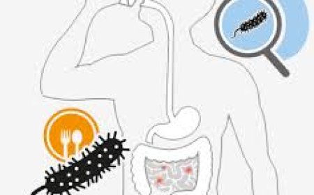 No Recent Case Of Cholera In Cross River - Health Commissioner