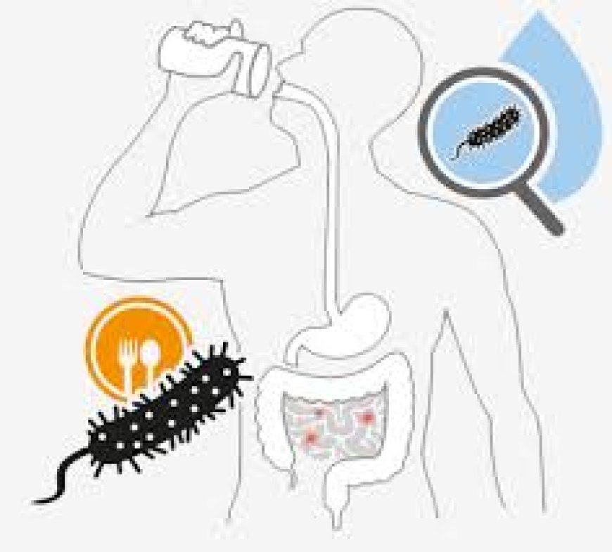 No Recent Case Of Cholera In Cross River - Health Commissioner