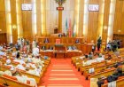 Senate Approves E-transmission Of Results, Keeps Manual Backup After Rowdy Session