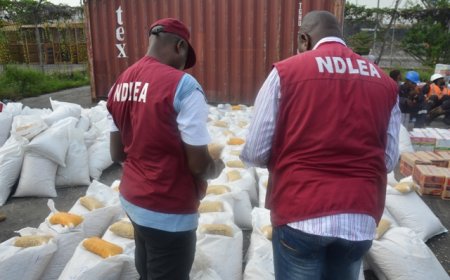 NDLEA arrest 100 suspects, seizes 290kg of Drugs in C'River