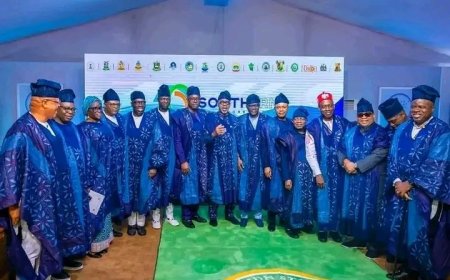 Southern Governors Back Fubara On Tenure Of Local Government Chairman In Rivers State