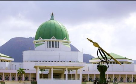 NASS GRANTS FULL AUTONOMY TO 774 LGAs, MAKE PROVISION FOR INEPENDENT CANDIDATES