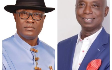 Anioma State: Timi Advises Nwoko To Seek Doctrine Of Necessity