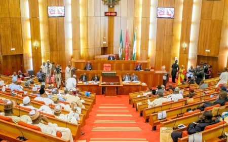 Rivers: NASS Confirms Approval of 6 Months Emergency Rule