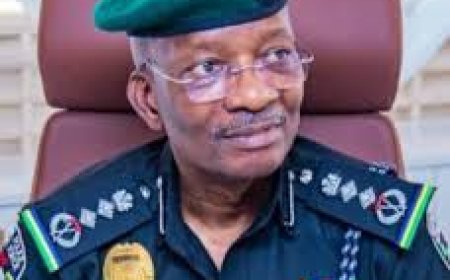 IGP Suspends e-CMR Over Public Outcry