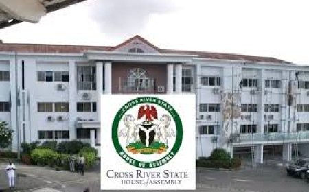 C’River Assembly Demands PHED, SEA, Others Over Poor Power Supply In Ikom