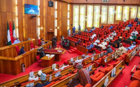 Senate Suspends  South South Development Commission Bill