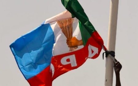 Ebonyi LG Poll: APC Wins All 13 Chairman Seats, 171 Ward Councillorships