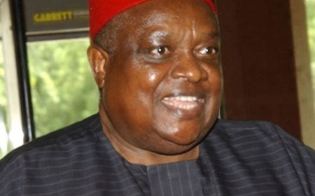 PRESS RELEASE: South East Caucus Of The House Of Representatives Mourns The President General Of Ohaneze Ndigbo, Chief Emmanuel Chukwuemeka Iwuanyanwu