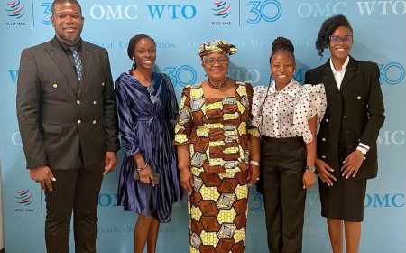 DG, World Trade Organization Welcomes Ae-Funai Law Students To Geneva
