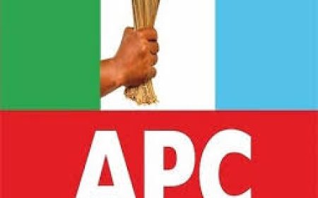 Edo 2024: I will 'Panel Beat' Edo State Into Prosperity, Growth, APC Candidate Declares