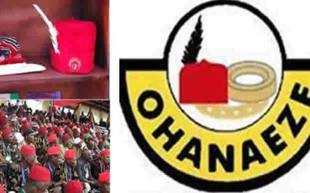 Ohaneze Youth Council Opts Out Of Nationwide Protest