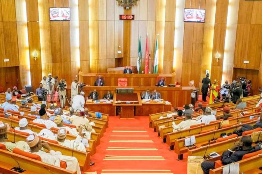 Senate Approves E-transmission Of Results, Keeps Manual Backup After Rowdy Session