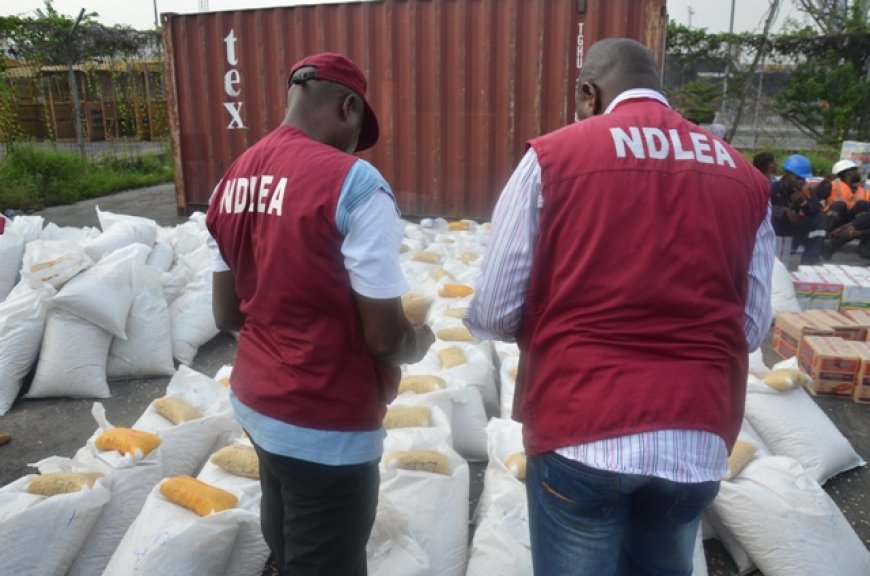NDLEA arrest 100 suspects, seizes 290kg of Drugs in C'River