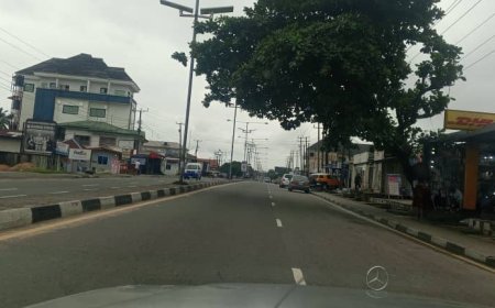 PROTEST: C'Riverians Shun Protest, Desert Streets; Fares Skyrocket