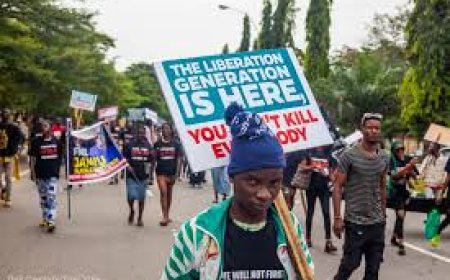 Investigate Police’s Violent Crackdown On Peaceful Protesters, NAS Urges Tinubu