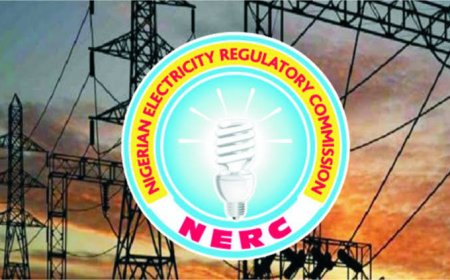 NERC to Host 3-Day Town Hall Meeting with PHED Customers in Calabar