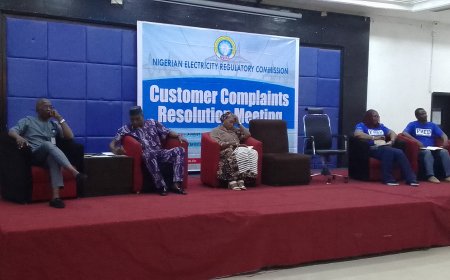 NERC, PHED Seek Collaboration With Customers for Better Service Delivery