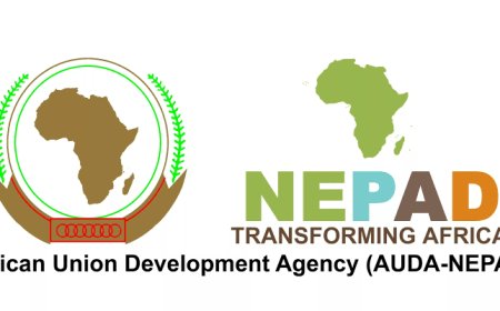 AUDA NEPAD: Cross River, 6 Other States Set To Implement Small Holder's Farmers Initiative
