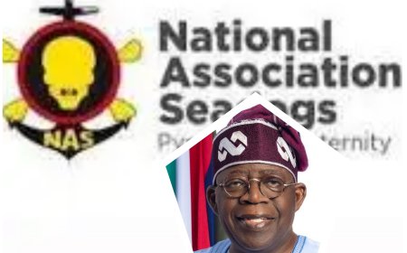 Seadogs tasks FG to declare state of emergency on kidnapping as insecurity worsens nationwide