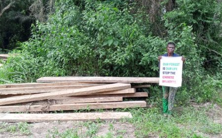 BREAKING...  Protest Rocks Okuni Community As Youths Chase Away Chinese Firm Engaged in Illegal Logging, Wood Processing