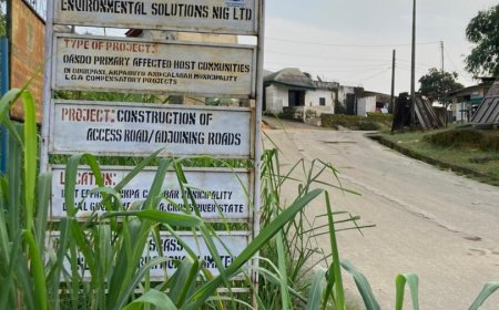 Abandonment of Road Construction Project in Calabar Municipality: A Case of Fraudulent Contracting.