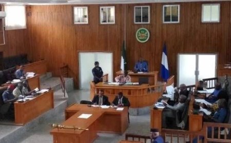 CRHA SETS UP SPECIAL COMMITTEE TO INVESTIGATE ILLEGAL WOOD PROCESSING IN OKUNI.