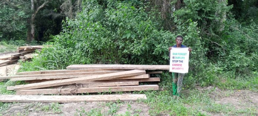 BREAKING... Protest Rocks Okuni Community As Youths Chase Away Chinese Firm Engaged in Illegal Logging, Wood Processing