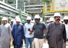 Dangote Refinery Commences Operations, to Supply 25 Million Litres of Petrol by September
