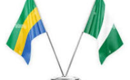 Nigerians in Gabon Decry Inhuman Treatment, Calls for Removal of Head of Mission over Illegal Int'l Travelling Levies