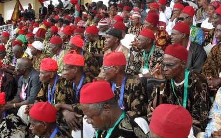 FOSAD Decries Anti-Igbo Narratives in Prof Ahmed Bako's Inaugural Lecture at Usman Danfodio University