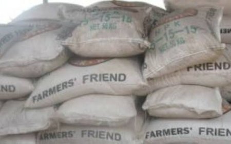 How Legislators, commissioners, Others Hijacked 5500 Bags of Fertilizers In Norther C'River, Says ADP Boss