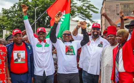 Edo Gov'ship election: Peter Obi canvasses votes for Labour Party in Benin