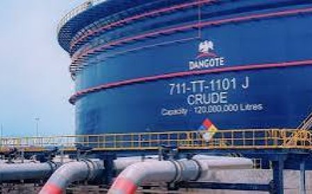 Petrol Marketers Complained To Tinubu Our Diesel Price Is Too Cheap – Dangote