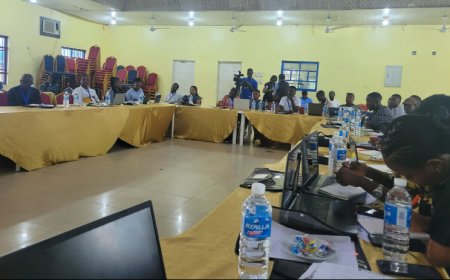 University Don Advocates Promotion Of Community Journalism For Inclusive Development