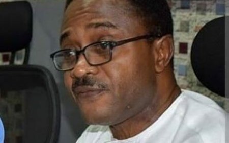 PDP Will Participate in October 26  Council Polls Through Protest, Says Ikem, Chairman