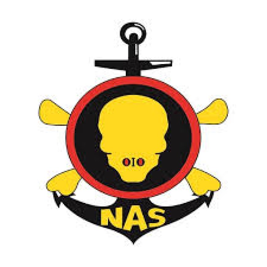 Stop Bullying Innocent Nigerians, NAS Tells Security Agencies