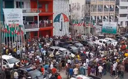 Breaking...     Protest Rocks PDP Secretariat Over Rivers LG poll
