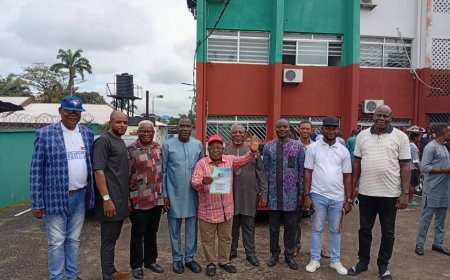 APC Kicks-off Preparations for C'River Council election