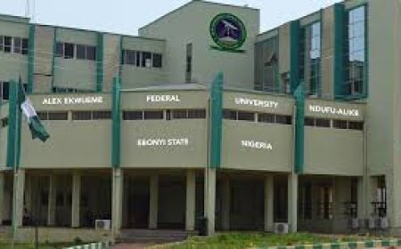 EDUCATION...   Ebonyi State: AE-FUNAI Ranks 4TH in 2024 Times Higher Education impact Ranking