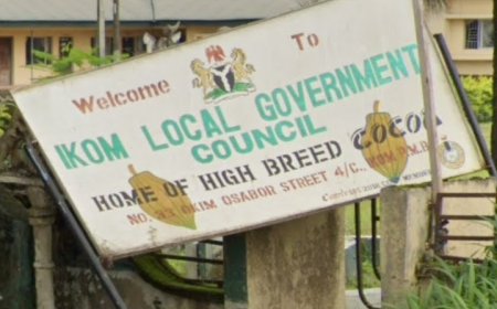 LG Elections: Ndoma Egba, Speaker Ayambem Battle Over Ikom Chairmanship Ticket As Ojogu  Set To Emerge