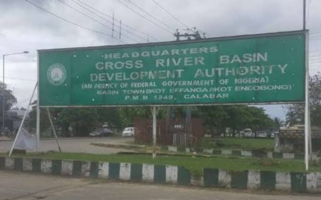 C'River Basin Staff  Lament Non Payment of Promotion Arrears As Union Leaders Stop Workers From Protesting